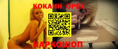 a pvp Кингисепп