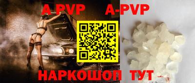 a pvp Кингисепп