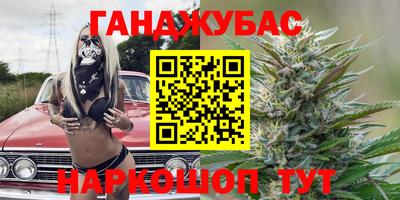 стаф Кинель