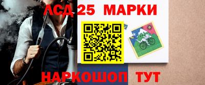 стаф Кинель