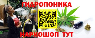 эйфоретик Кимры