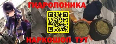 стаф Кинель