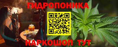 a pvp Кингисепп