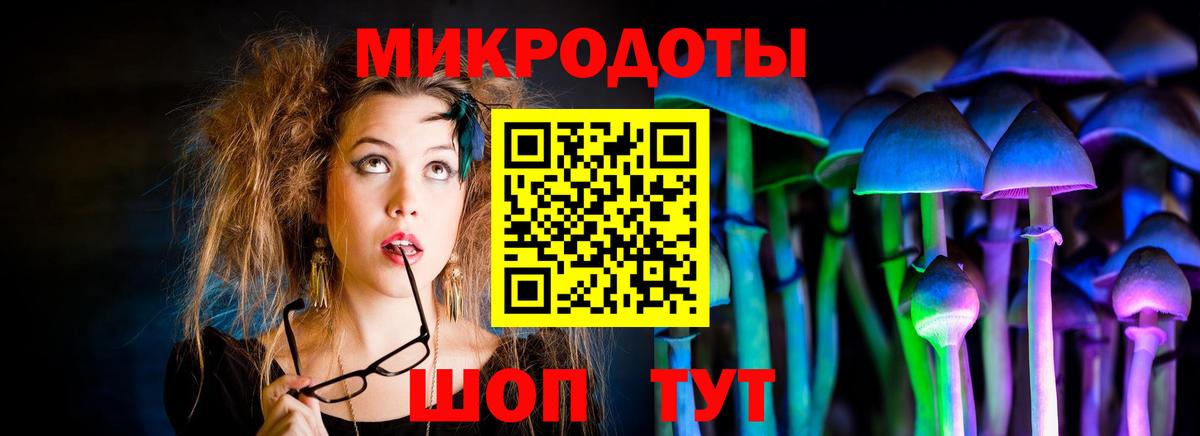 Новокубанск  Галлюциногенные грибы GOLDEN TEACHER  Вход с VPN  Псилоцибиновые грибы MAGIC MUSHROOMS 